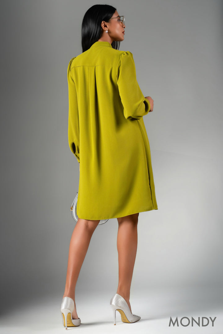 Long Sleeve Shift Dress